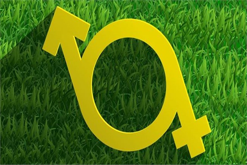 נטייה מינית